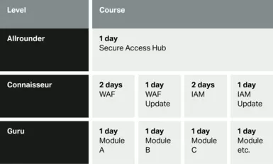 Airlock Academy Course Overview