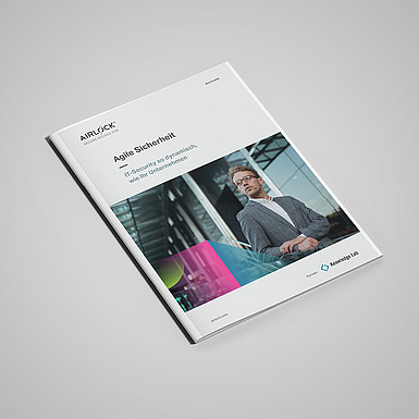 Whitepaper Agile Sicherheit