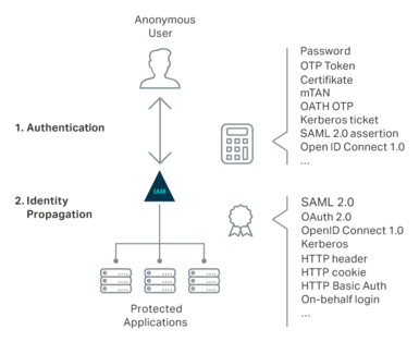 Decoupling authentication from identity propagation
