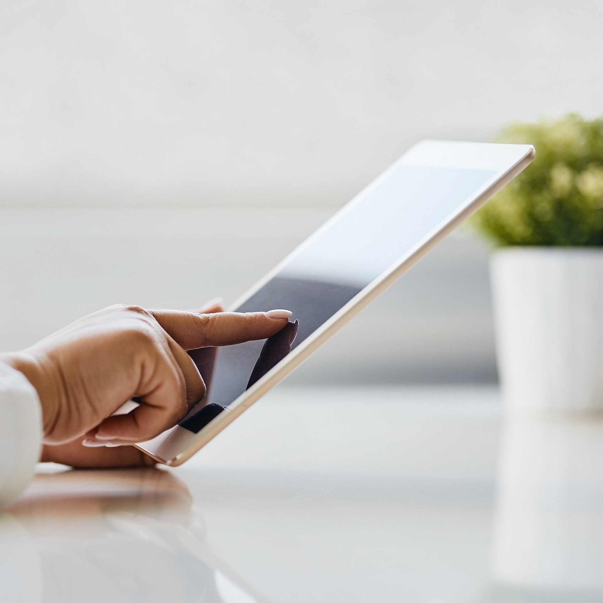 Airlock Goes It Sa 2023 Airlock